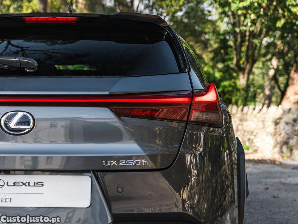 Lexus NX UX 250h Special Edi — fotografia 19