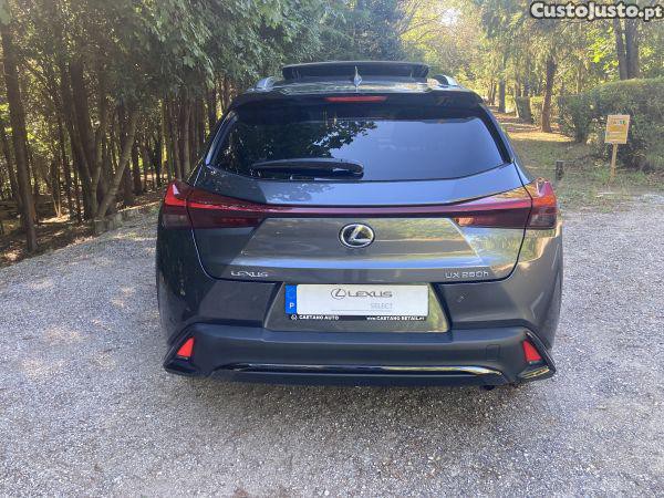 Lexus NX 250h Sport - 23 — photo 5