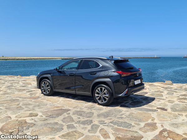 Lexus NX UX 250h Sport - 23 — photo 4