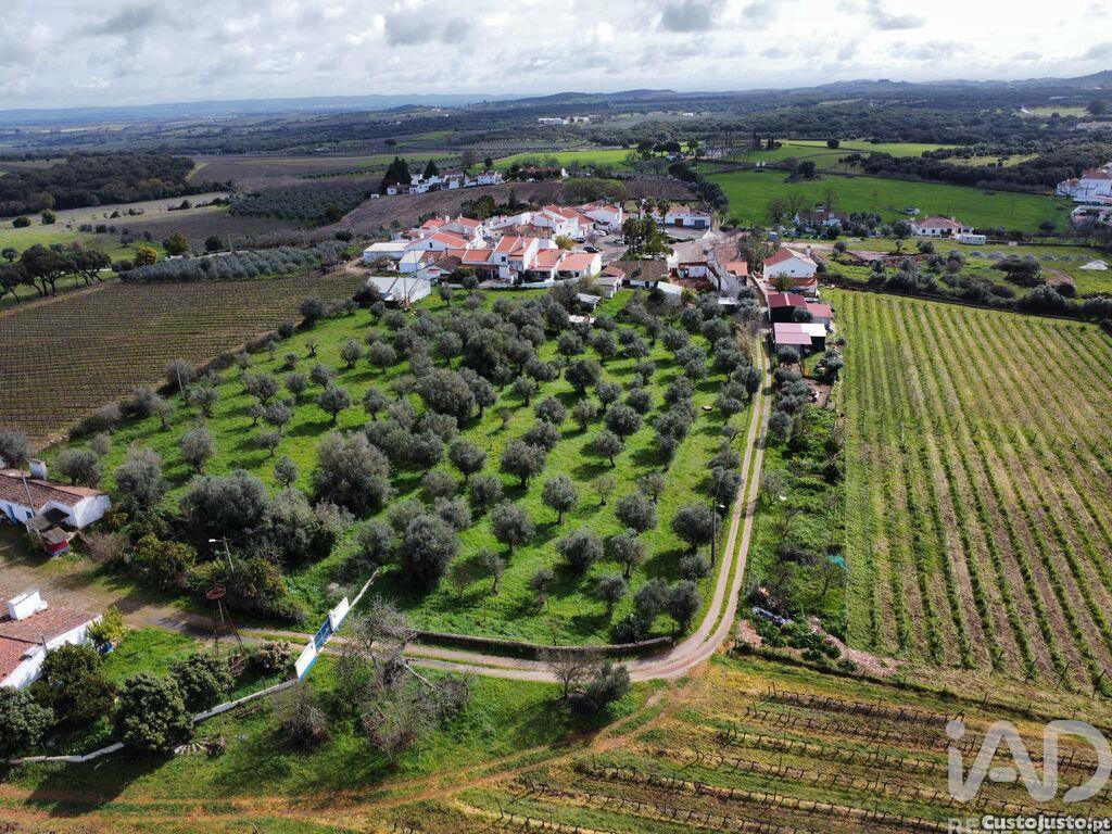 Quinta T4 em Arcos de 204,00 m²