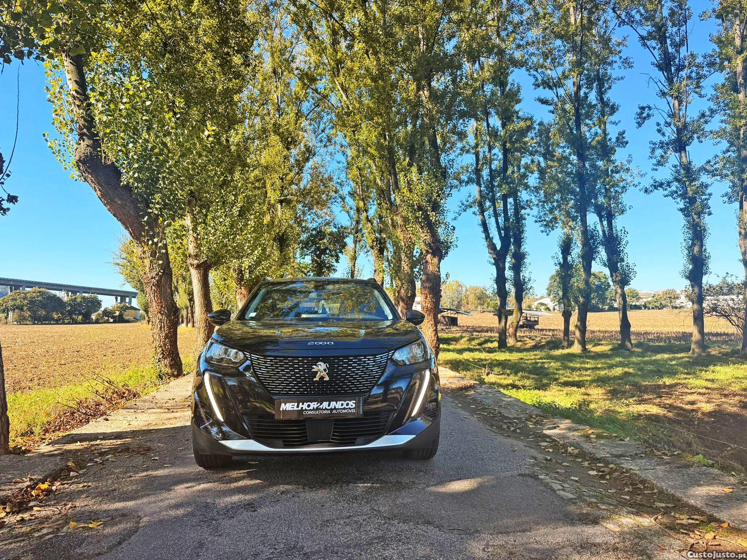 Peugeot 2008 1.5 BlueHDi Allure EAT8 — fotografia 15