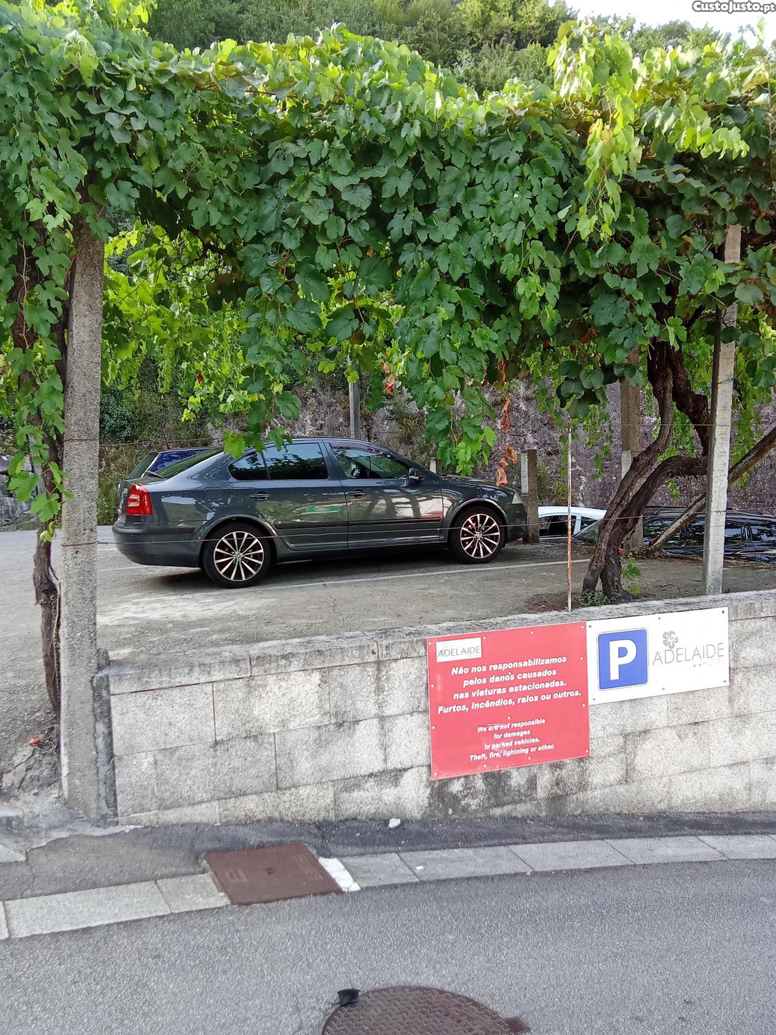 Skoda Octavia A5 — fotografia 7