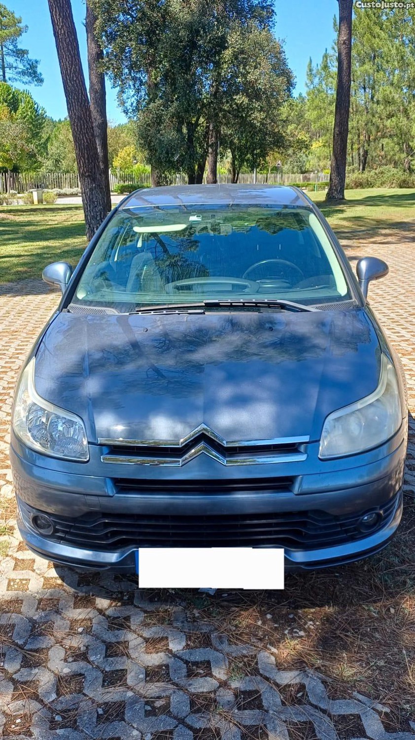 Citroën C4 1.6 HDI Business — fotografia 9