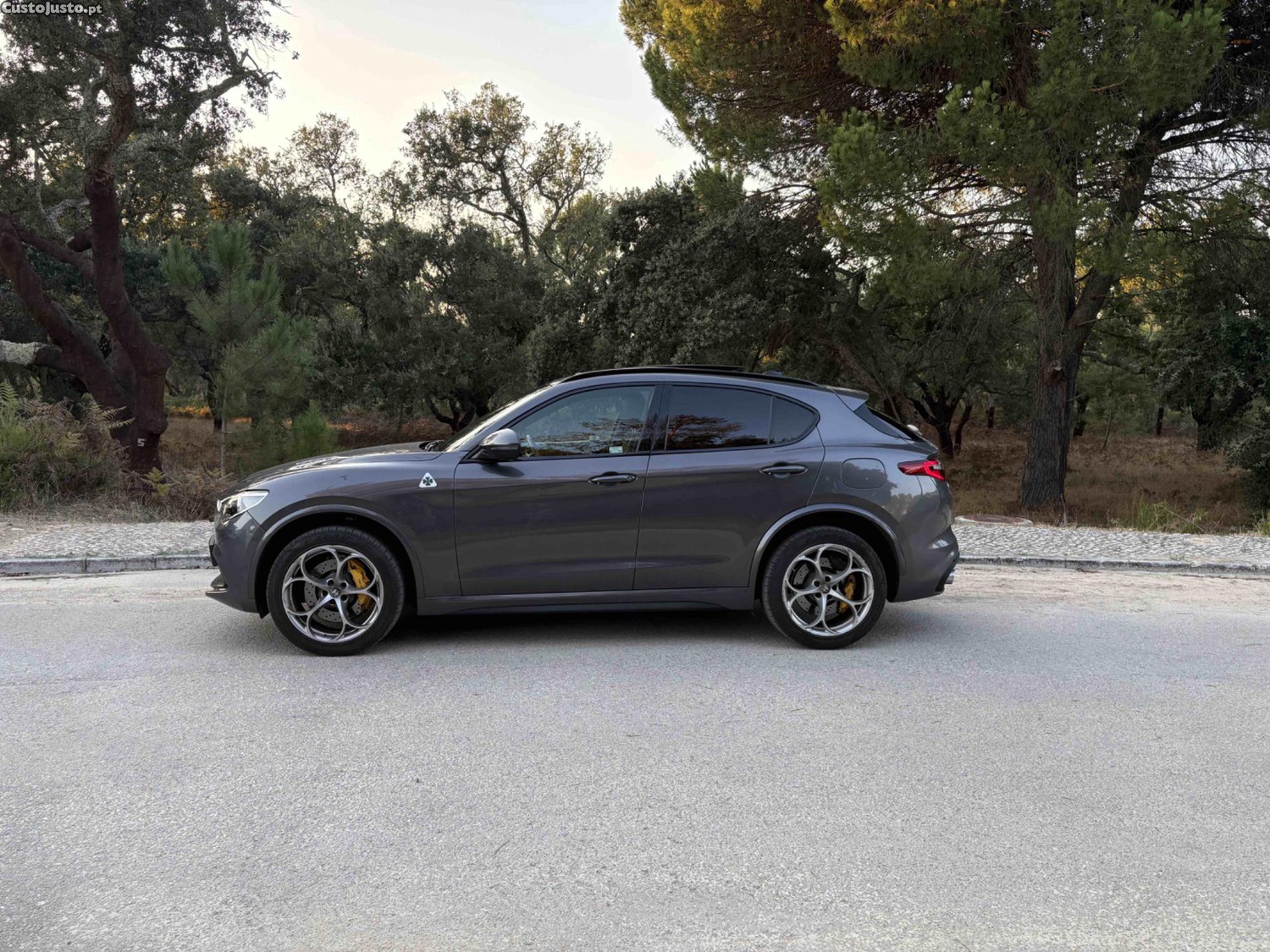 Alfa Romeo Stelvio Quadrifoglio 2.9 V6 Biturbo 510 CV - 19 foto 3