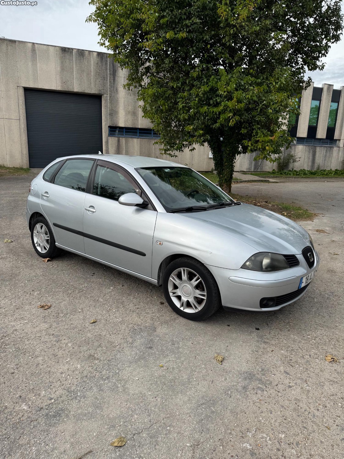 Seat Ibiza 6l