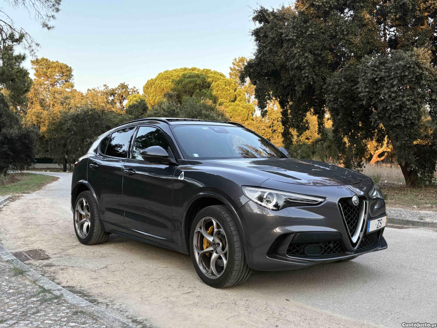 Alfa Romeo Stelvio Quadrifoglio 2.9 V6 Biturbo 510 CV - 19 foto 5
