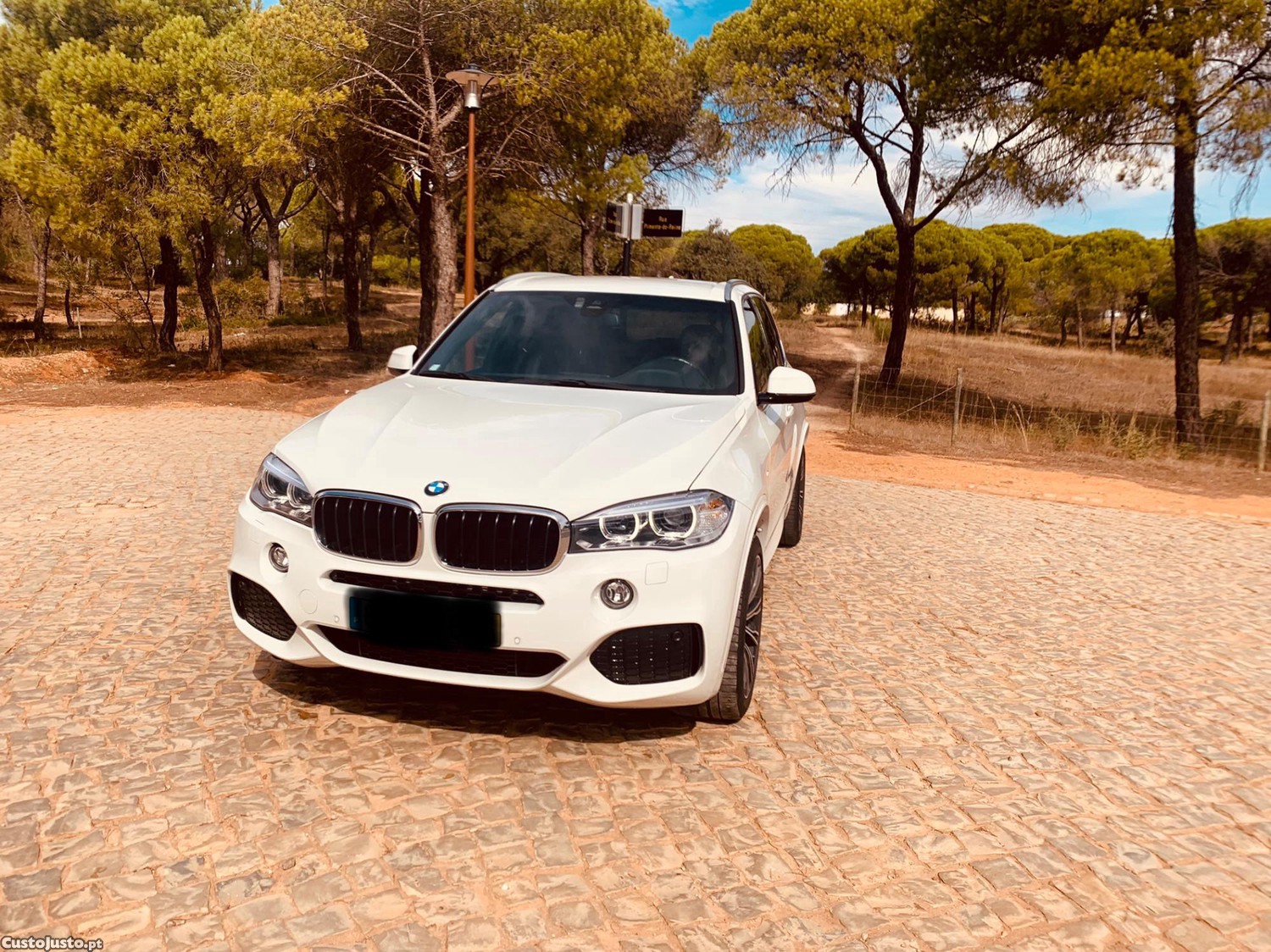 BMW X5 Sdrive25d — fotografia 10