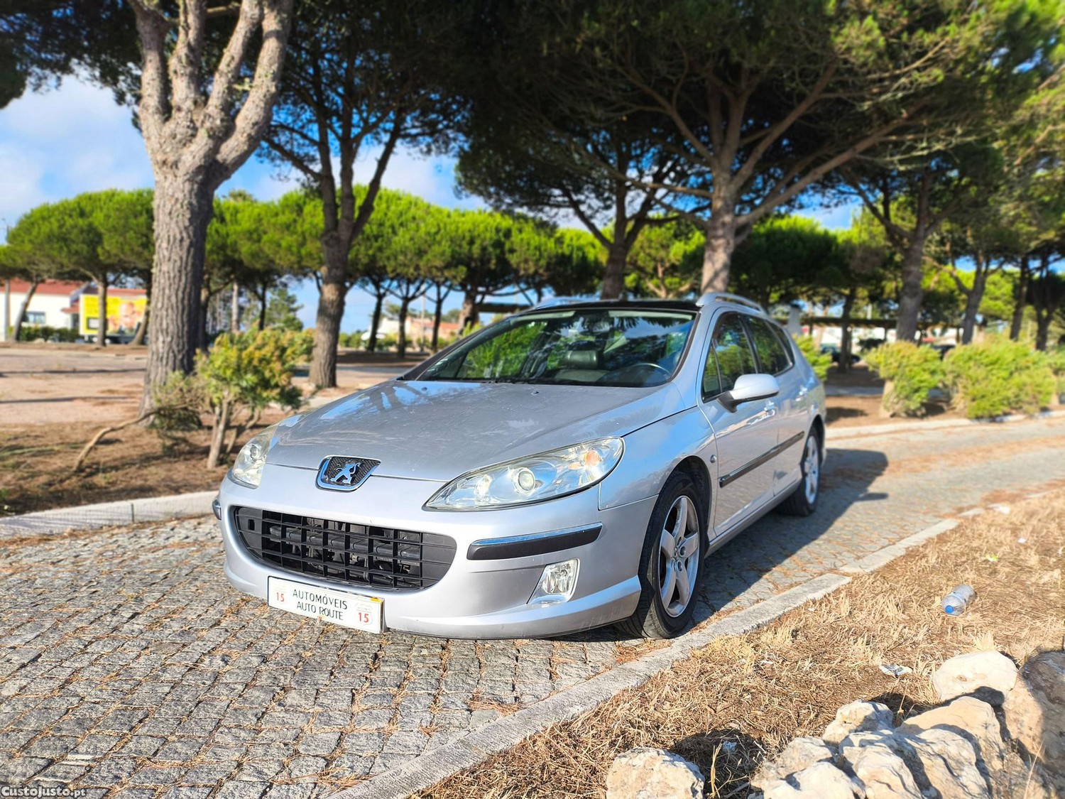 Peugeot 407 SW 2.2HDi - 08 — photo 2