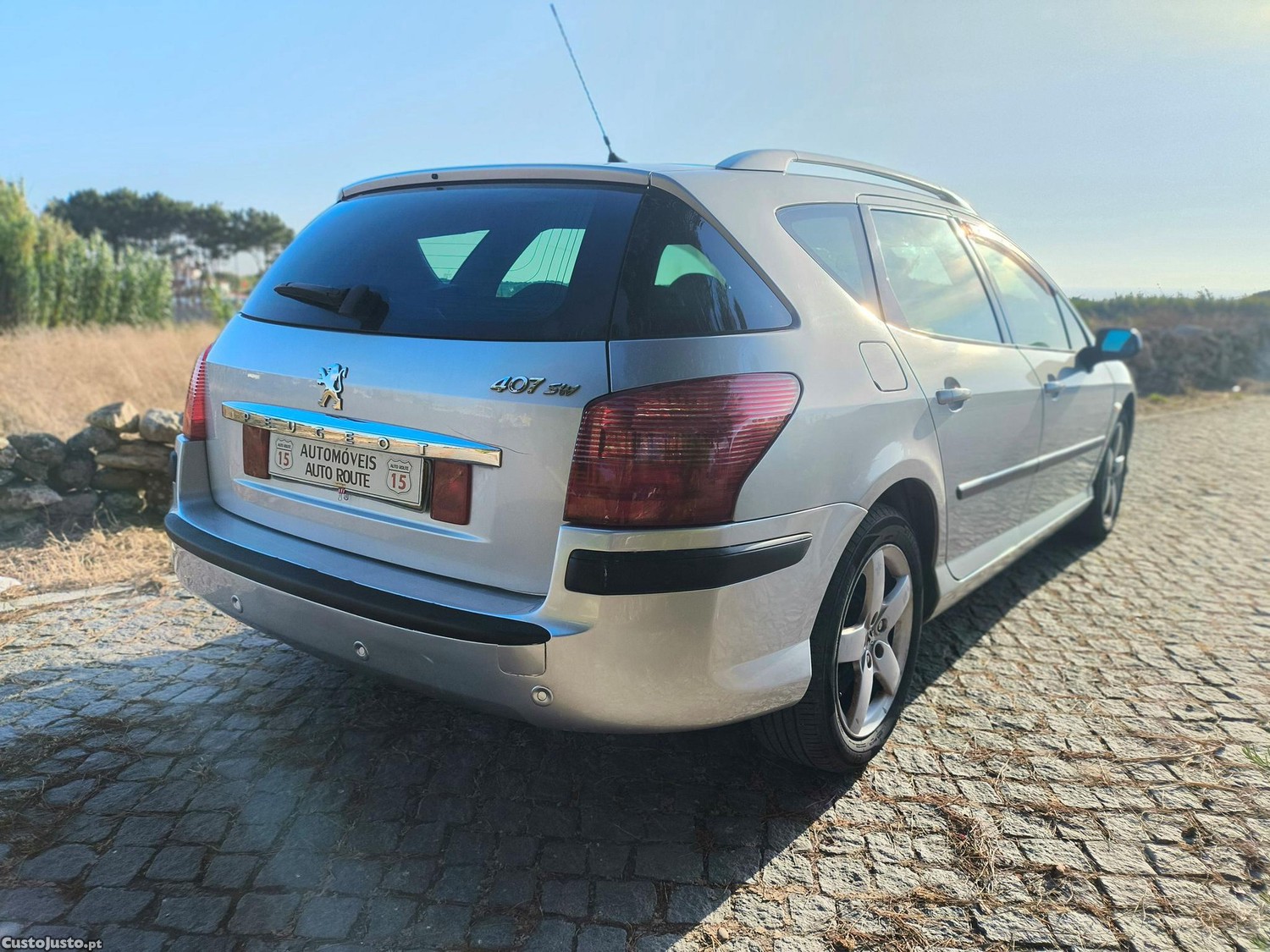 Peugeot 407 SW 2.2HDi - 08 — photo 4