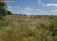 thumb_6