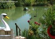 thumb_58