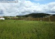 thumb_32