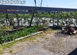 thumb_29