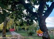 thumb_1