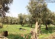 thumb_22