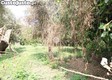thumb_23