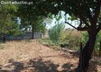 thumb_21