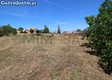 thumb_2