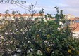 thumb_12