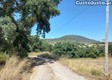thumb_20