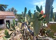 thumb_3