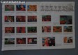 thumb_5