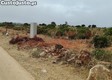 thumb_1