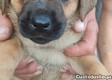 thumb_2