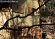 thumb_2