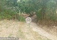 thumb_32