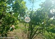 thumb_34