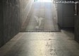 thumb_18