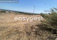 thumb_5