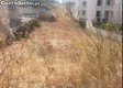 thumb_17