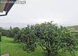 thumb_2