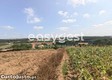 thumb_11