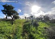 thumb_6