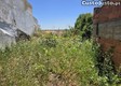 thumb_20