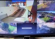 thumb_44