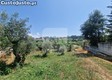 thumb_1