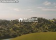 thumb_6