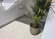 thumb_36