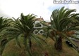 thumb_2