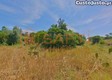 thumb_5