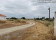 thumb_1